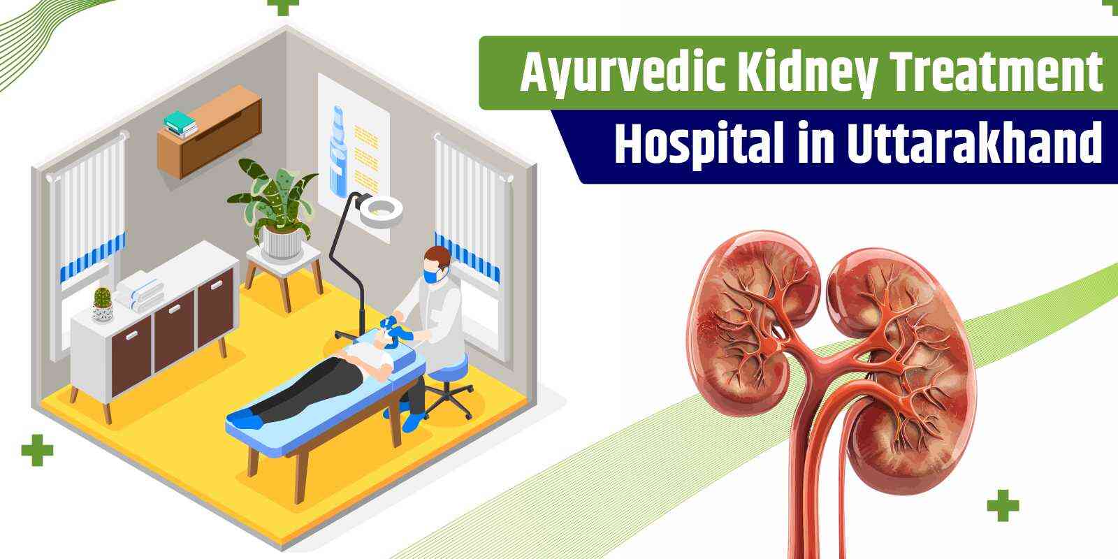 Ayurvedic Kidney Treatment Hospital in Uttarakhand